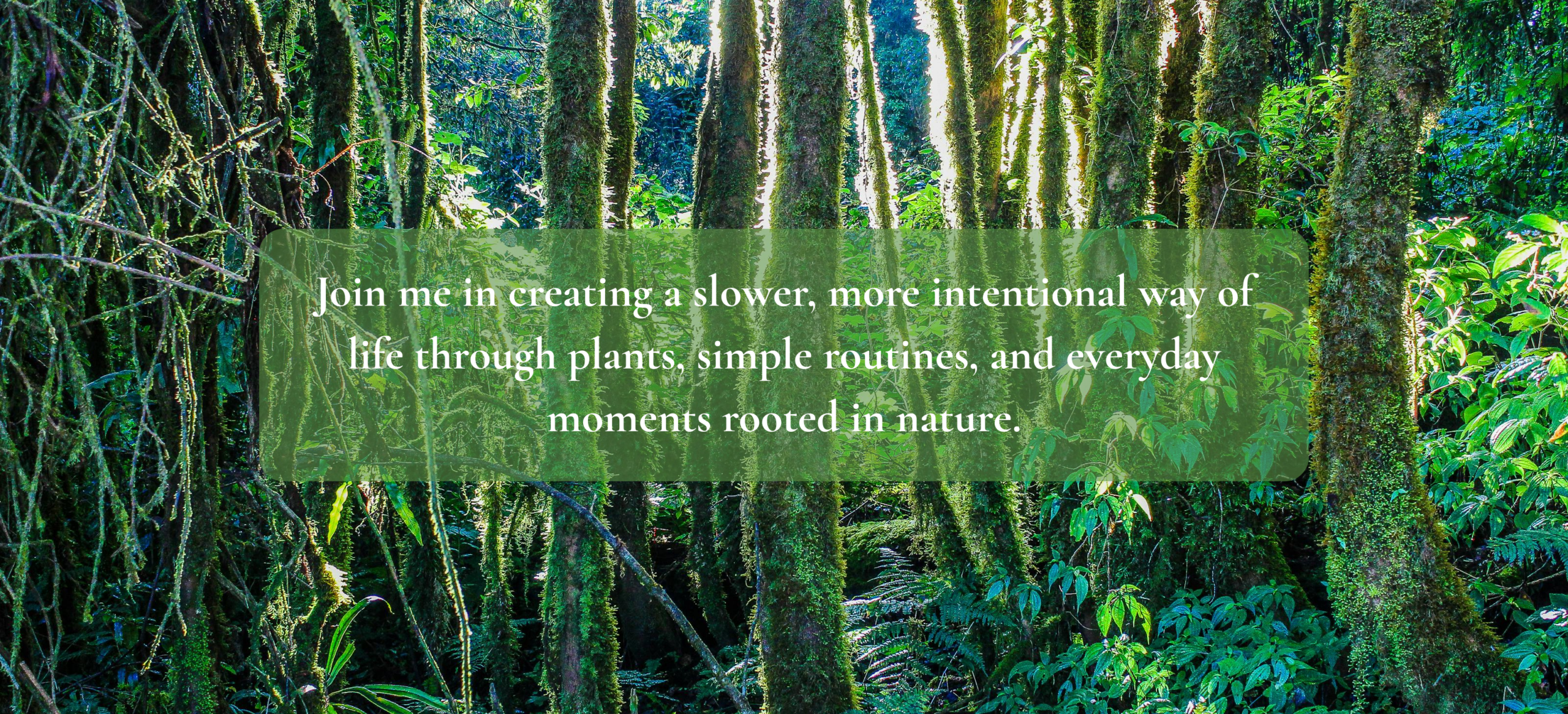 where plants, slow living, and simple rituals meet (55)